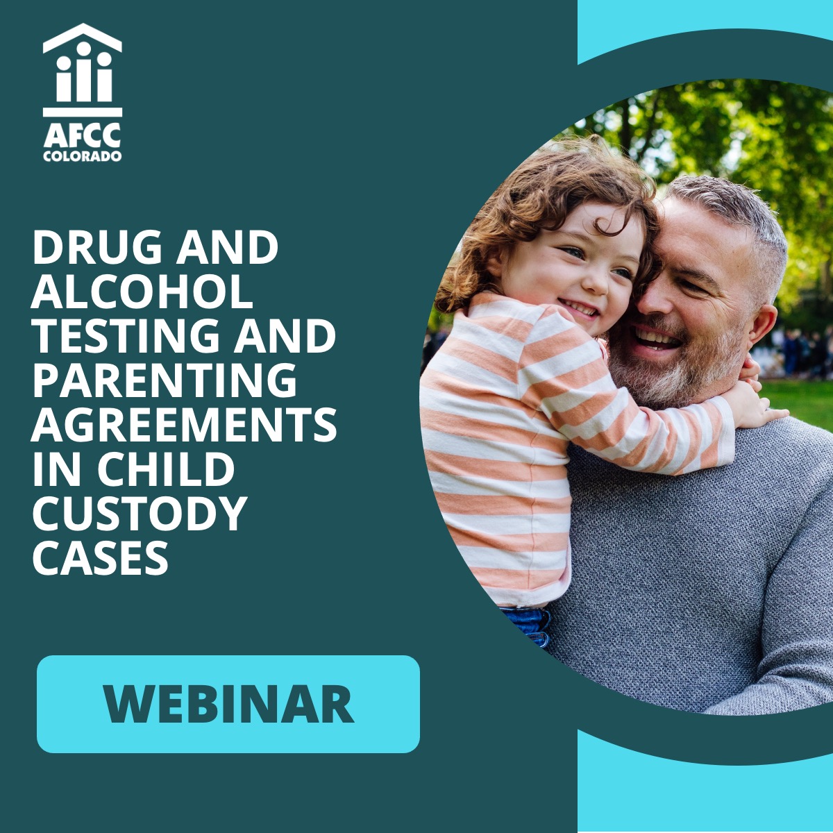 Drug and Alcohol Testing and Parenting Agreements in Child Custody Cases