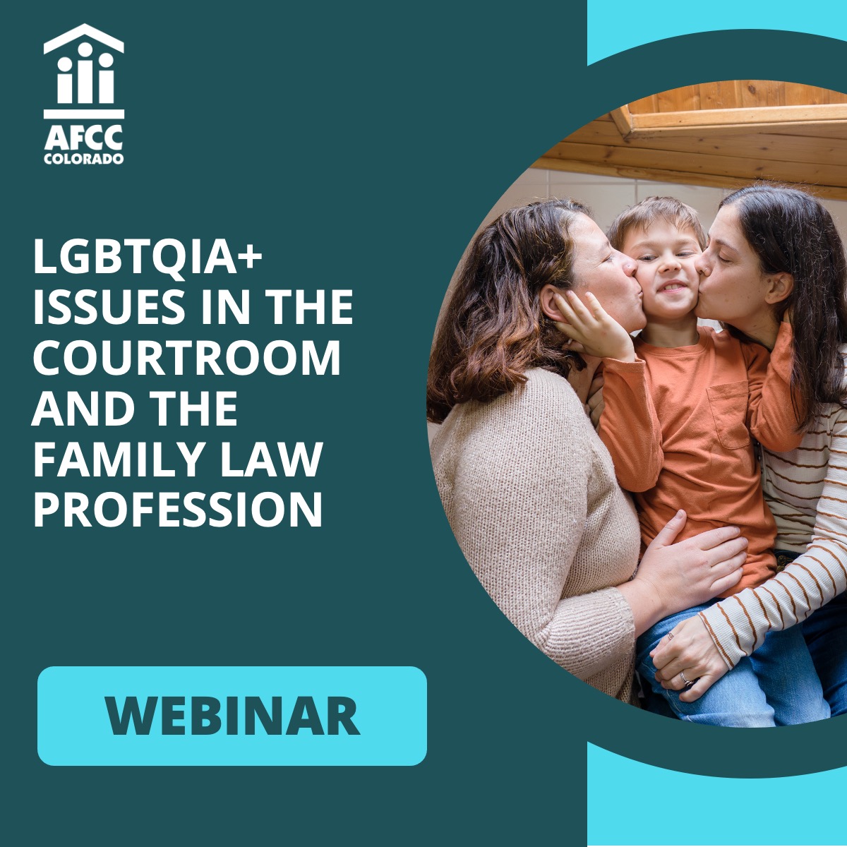 LGBTQIA+ Issues in the Courtroom and the Family Law Profession