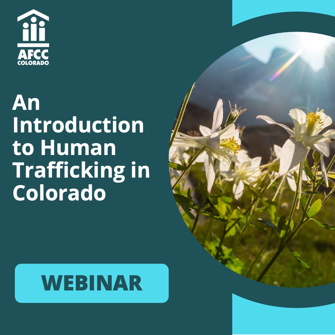 An Introduction to Human Trafficking in Colorado