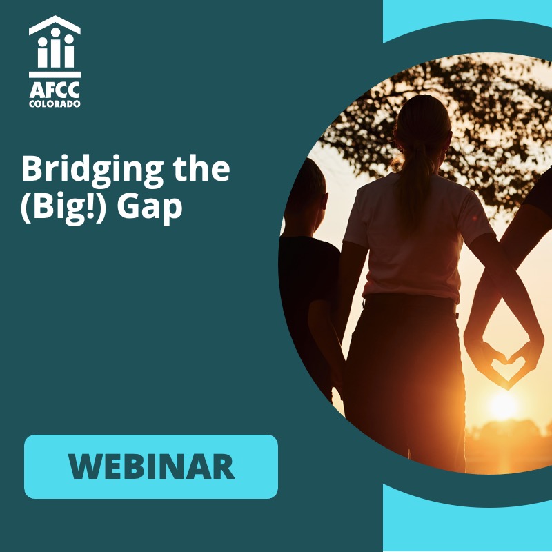 Bridging the (Big!) Gap: What Family Law Professionals Need to Know about What Works, and What Doesn’t, in “Blended Families”